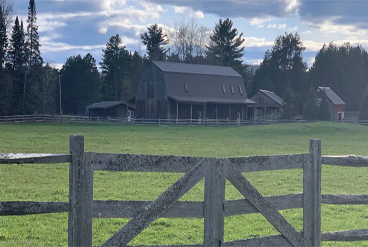 Farm Airbnb